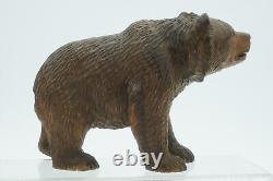 Ancient Black Forest Bear