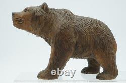Ancient Black Forest Bear