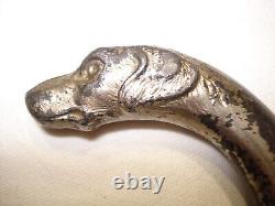 Ancient, Cane, Walking Stick, Zoomorphic Dog Head Wood and Silvered Metal