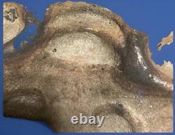 Ancient Chinese gilded bronze mask Guardian demon 19th / early 20th century