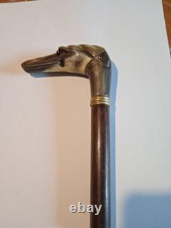 Ancient Magnificent Cane or Parasol Handle Greyhound in Black Horn