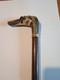 Ancient Magnificent Cane Or Parasol Handle Greyhound In Black Horn