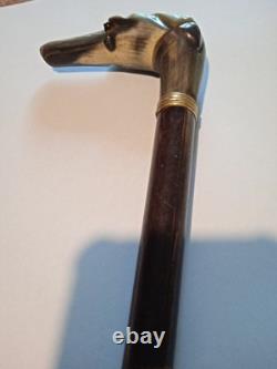 Ancient Magnificent Cane or Parasol Handle Greyhound in Black Horn