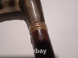 Ancient Magnificent Cane or Parasol Handle Greyhound in Black Horn