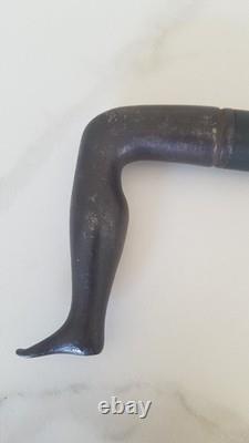 Ancient cane