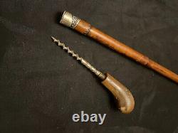 Ancient cane. Corkscrew.