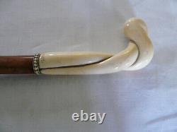 Ancient cane collection with twisted carved bone handle engraved by Huppy and Abbeville