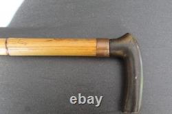 Ancient measuring cane for livestock measurement