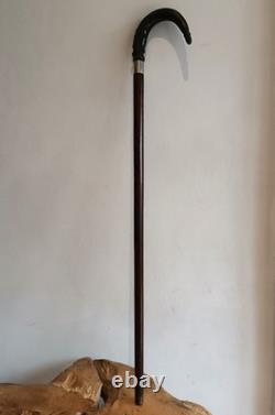Antique Walking Stick with a Carved Ebony Handle