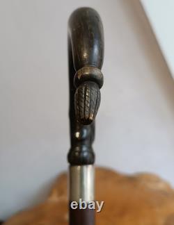 Antique Walking Stick with a Carved Ebony Handle