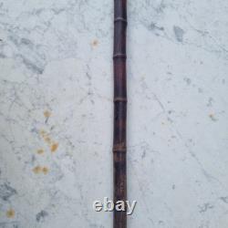 Antique bamboo root walking cane, 19th century, knobstick