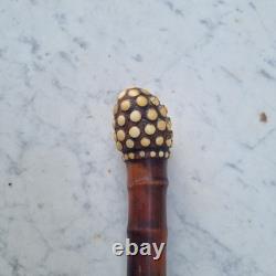 Antique bamboo root walking cane, 19th century, knobstick