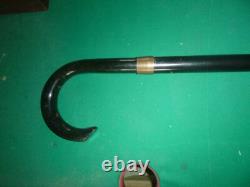 Antique cane with system