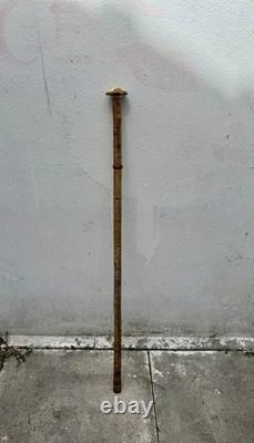 Antique cane, wood, deer handle