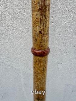 Antique cane, wood, deer handle