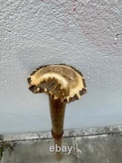 Antique cane, wood, deer handle