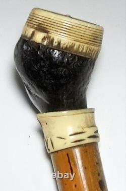 Antique dandy’s cane, late 19th century, ebony carved handle with a black man’s head pommel