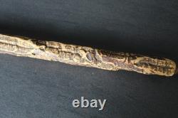 Antique trompe-l'œil umbrella cane with dog head