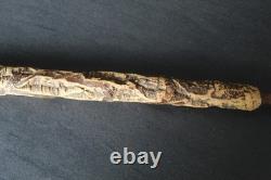 Antique trompe-l'œil umbrella cane with dog head