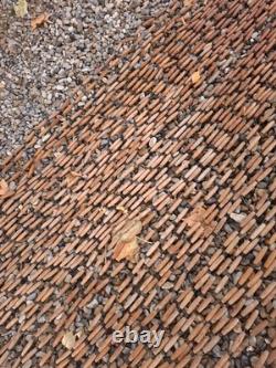 Authentic Boxwood Door Curtain