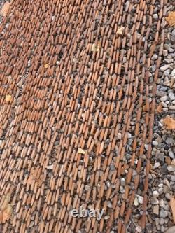 Authentic Boxwood Door Curtain