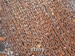 Authentic Boxwood Door Curtain