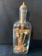 Beautiful Small Napoleon Iii&ndash;era Folk Art Passion Bottle