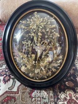 Bride’s Crown, orange blossoms, Napoleon III, frame 51.5 x 43.5, good condition, rare