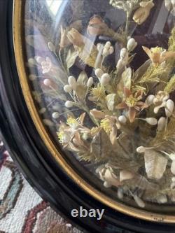 Bride’s Crown, orange blossoms, Napoleon III, frame 51.5 x 43.5, good condition, rare