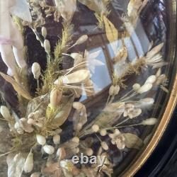 Bride’s Crown, orange blossoms, Napoleon III, frame 51.5 x 43.5, good condition, rare