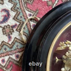 Bride’s Crown, orange blossoms, Napoleon III, frame 51.5 x 43.5, good condition, rare