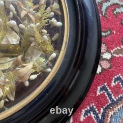 Bride’s Crown, orange blossoms, Napoleon III, frame 51.5 x 43.5, good condition, rare