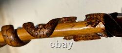 CARVED WOODEN CANE SERPENT LIZARD BIRD CHAMOIS Folk Art