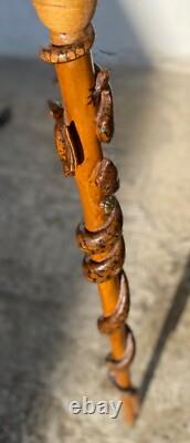CARVED WOODEN CANE SERPENT LIZARD BIRD CHAMOIS Folk Art