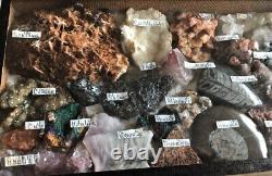 Cabinet De Curiosités Petite Vitrine Minerals Et Fossiles