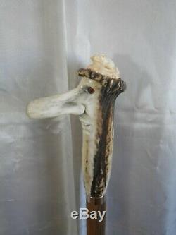 Cane Walking Pommel Antler Stick Head & Toad Carved In France