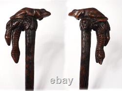 Canne Art Popular Wood Carved Snakes Frog Monkey Xixth Century