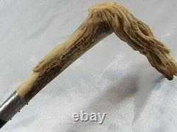 Canne Dandy Pommeau Cervide Sculpte Fut Bois Antique Silver Ring Walking Stick