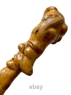 Carved Wooden Monoxyl Root Popular Regional Anthropomorphic Art Stick Canes