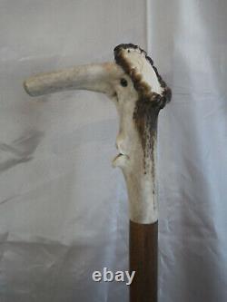 Deer Antler Wooden Handle Walking Stick for St. James of Compostela France