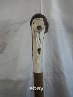 Deer Antler Wooden Handle Walking Stick for St. James of Compostela France