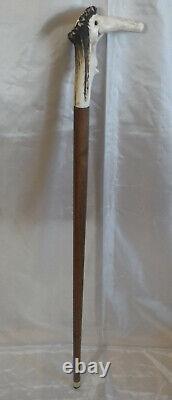 Deer Antler Wooden Handle Walking Stick for St. James of Compostela France