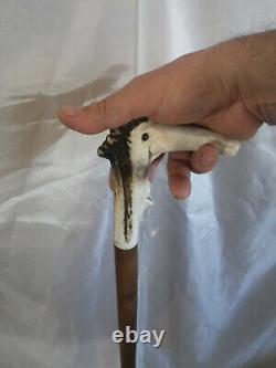 Deer Antler Wooden Handle Walking Stick for St. James of Compostela France