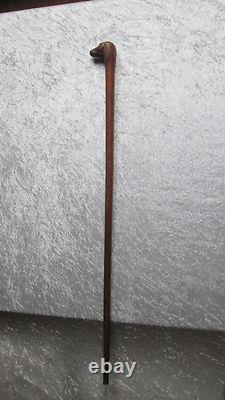 Folk art cane with a carved wooden dog-head knob, zoomorphic boxwood
