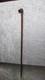 Folk Art Cane With A Carved Wooden Dog-head Knob, Zoomorphic Boxwood