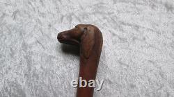 Folk art cane with a carved wooden dog-head knob, zoomorphic boxwood