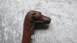 Folk art cane with a carved wooden dog-head knob, zoomorphic boxwood