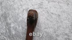 Folk art cane with a carved wooden dog-head knob, zoomorphic boxwood