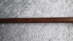 Folk art cane with a carved wooden dog-head knob, zoomorphic boxwood