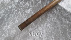 Folk art cane with a carved wooden dog-head knob, zoomorphic boxwood